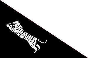 flag1.gif