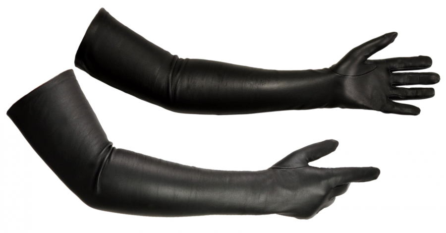 black_leather_opera_gloves.png